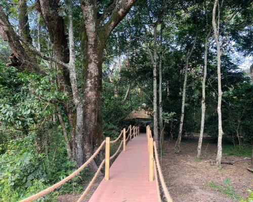 Hardwoods Timber, Thatch & Treated Poles Supply - Savanna Construction Services Ltd (16)