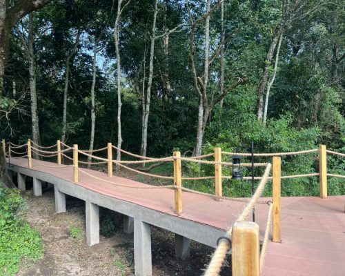 Hardwoods Timber, Thatch & Treated Poles Supply - Savanna Construction Services Ltd (17)