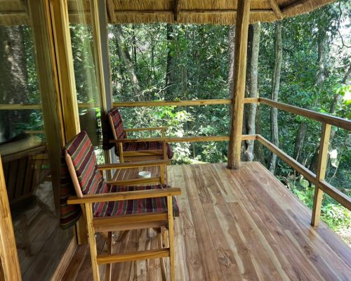 Hardwoods Timber, Thatch & Treated Poles Supply - Savanna Construction Services Ltd (6)