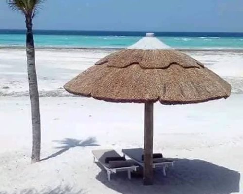 Landscaping & Grass Roof Thatching - Savanna Construction Services Ltd (17)