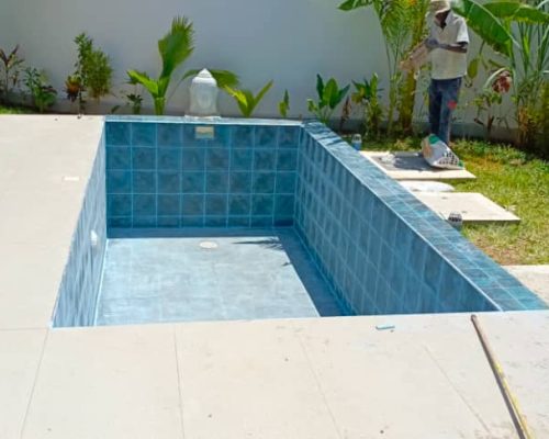 Swimming Pool Construction & Design - Savanna Construction Services Ltd (7)