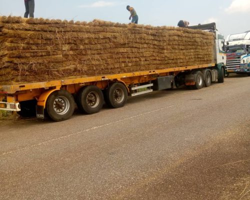 WhatsApp Image 2025-11-11 at 1.40.42 PM