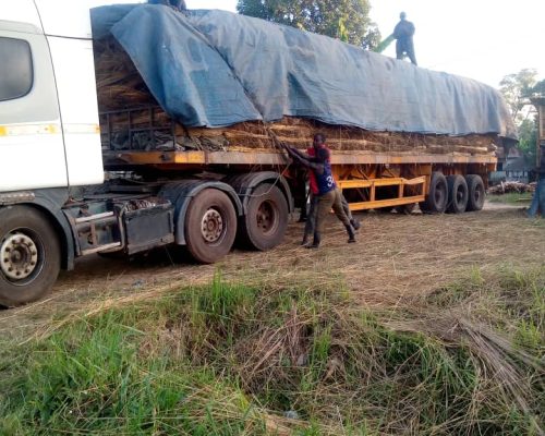 WhatsApp Image 2025-11-11 at 1.40.44 PM (1)