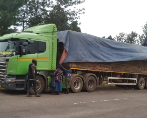 WhatsApp Image 2025-11-11 at 1.40.44 PM