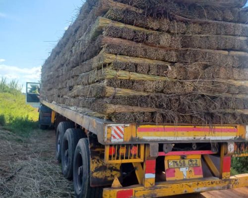 WhatsApp Image 2025-11-11 at 1.40.45 PM (2)