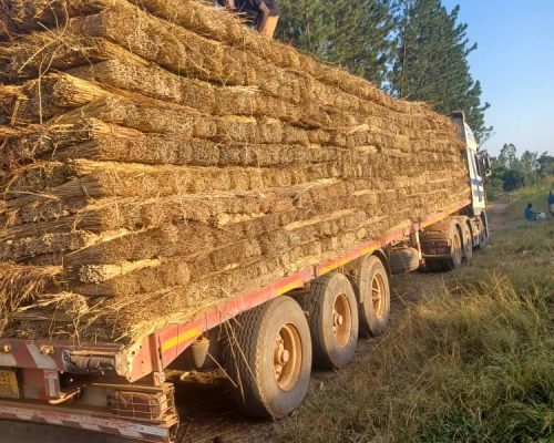 WhatsApp Image 2025-11-11 at 1.40.46 PM