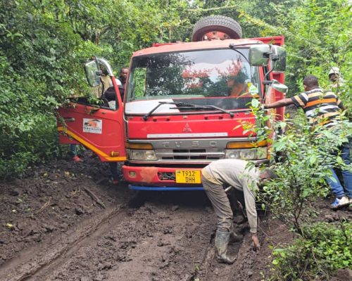 WhatsApp Image 2025-11-11 at 1.45.59 PM (1)