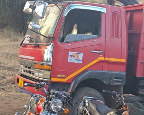 WhatsApp Image 2025-11-11 at 1.45.59 PM